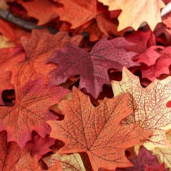 Ottobre