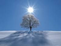 � vita anche per me