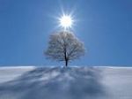 � vita anche per me