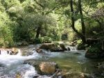 Un�improvvisa fede