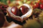 Amo l’autunno
