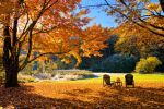 Il Tuo Abbraccio d’Autunno