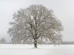 Il Freddo che custodisce il Canto