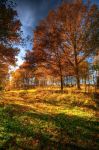 La Forza dell’ Autunno