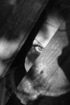 Nel Silenzio dell’ Occhio