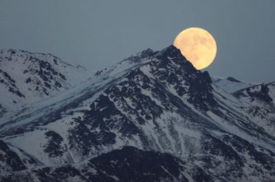 Alla Luna
