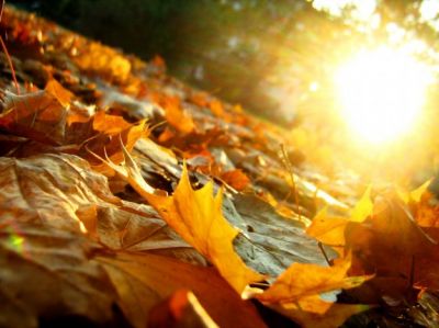 Il sole è morto