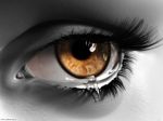 Rivelazione