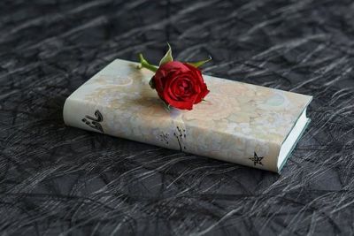 I poeti vanno sentiti