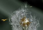 Il vento che ti soffi� via