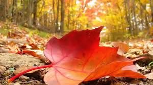 Spiriti d� autunno