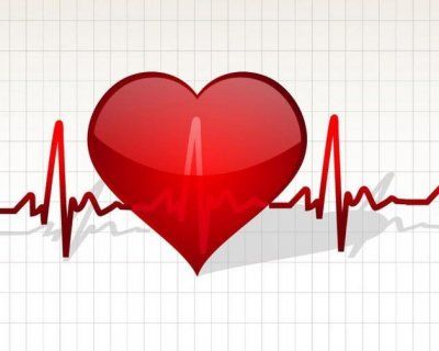 Cuore vivo