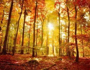 Autunno