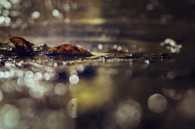 Autunno