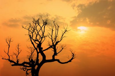 Tramonto d�inverno