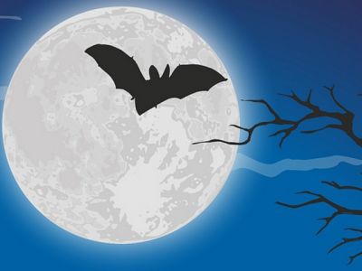 Volo notturno