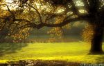 Ti parlerei dell�amore