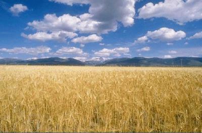 Solstizio  
