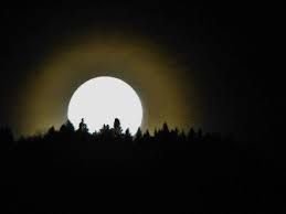 Il bacio della luna