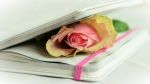 Scriver�