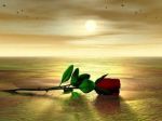 Primavera d'amore