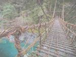 Pianti di Verginit�