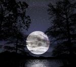 La notte impallidita