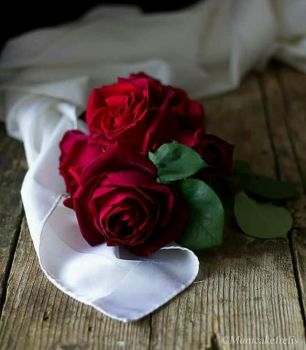 Ricami d�amore