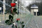 Una rosa per non dimenticare