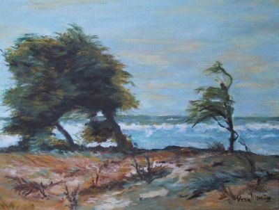 �A voce d�o viento (La voce del vento)