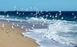 Musica di mare nell�aria