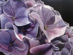 Fiori secchi