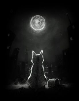 A mezzanotte