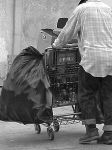 �pater le monde entier