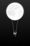 Appuntamento con la notte