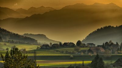 Fiore d�autunno