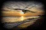 Il vento dell�amore