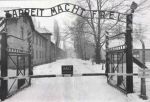 Auschwitz � Birkenau