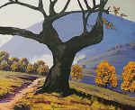 Albero antico
