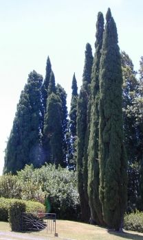 L�abbraccio del mio silenzio