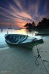 L�anelito d�amore che mai tace