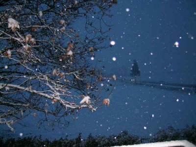 Nevica