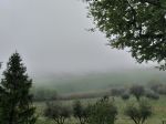 Nebbia