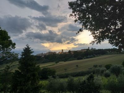 Dedicata