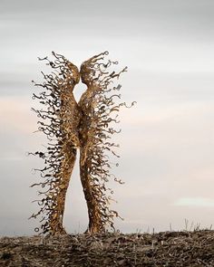 La cura degli sguardi