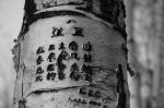 Ti leggero�
