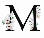 Tautogramma in m
