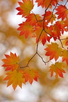 L�autunno con te