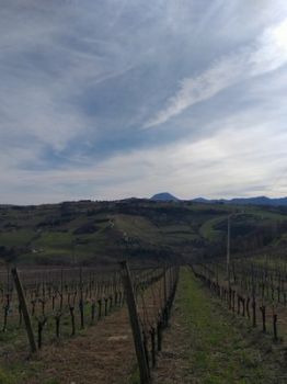 Cielo senza eta�