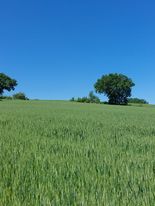 Anticipo d�estate